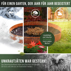 Detailansicht: Cortenstahl Rasenkantenband von GREEN Spark witterungsbeständig, robust und langlebig